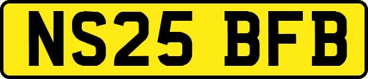 NS25BFB