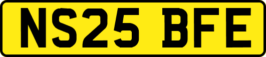 NS25BFE