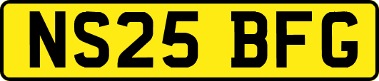 NS25BFG