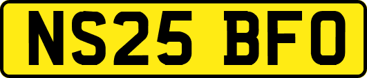 NS25BFO