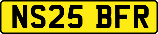 NS25BFR