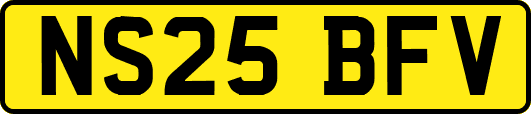 NS25BFV