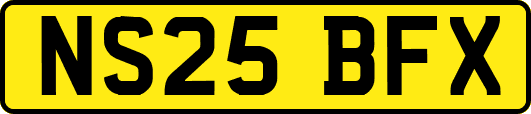 NS25BFX