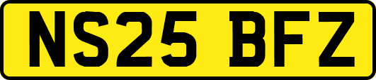 NS25BFZ