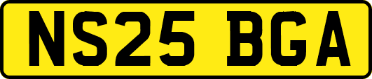 NS25BGA