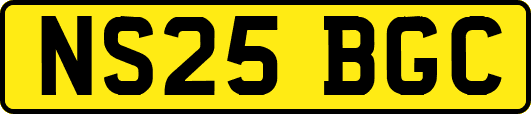 NS25BGC