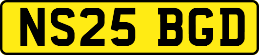 NS25BGD
