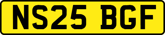 NS25BGF