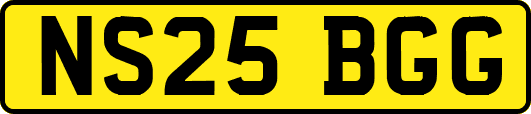 NS25BGG