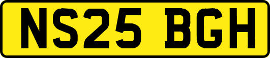 NS25BGH