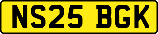 NS25BGK