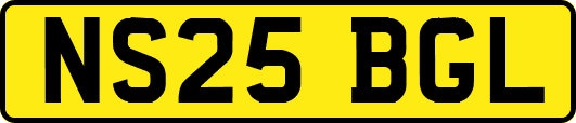 NS25BGL