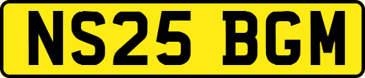 NS25BGM