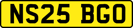 NS25BGO