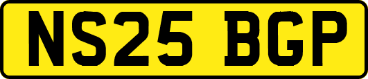 NS25BGP