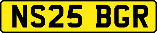 NS25BGR