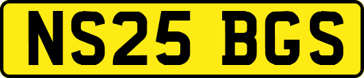 NS25BGS
