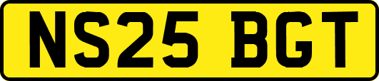 NS25BGT