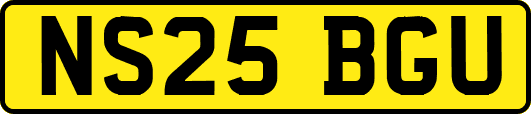 NS25BGU