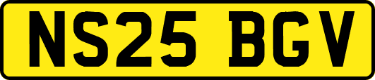 NS25BGV