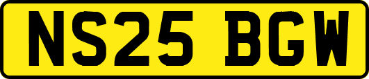 NS25BGW