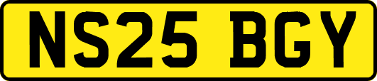 NS25BGY