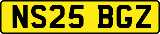 NS25BGZ