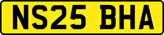 NS25BHA