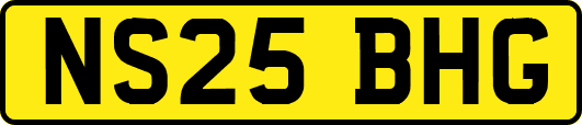 NS25BHG