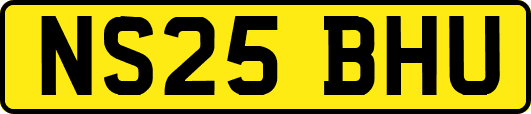 NS25BHU