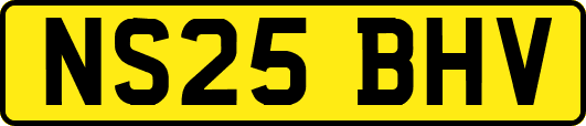 NS25BHV