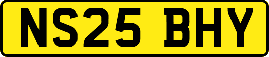 NS25BHY
