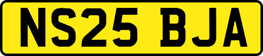 NS25BJA
