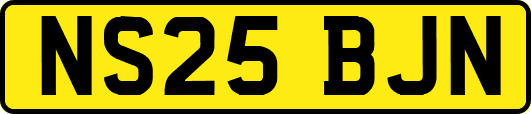 NS25BJN