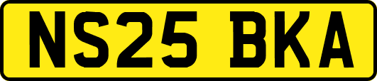 NS25BKA