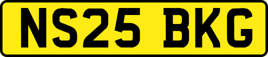 NS25BKG