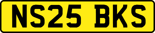 NS25BKS