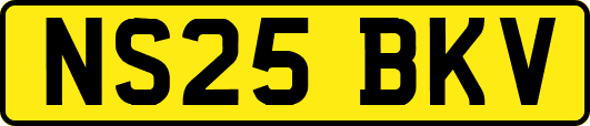 NS25BKV