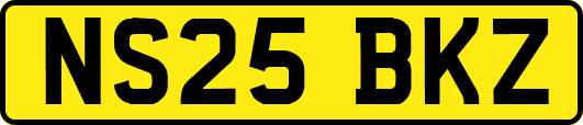 NS25BKZ