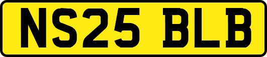 NS25BLB