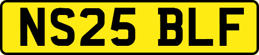 NS25BLF