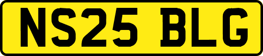 NS25BLG