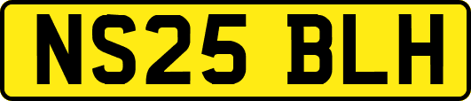 NS25BLH