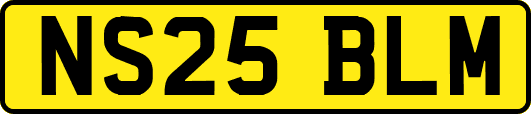 NS25BLM