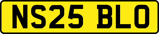 NS25BLO