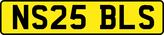 NS25BLS