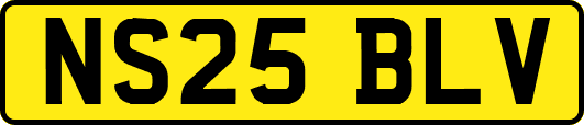 NS25BLV