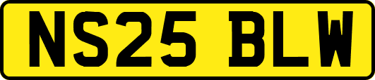 NS25BLW