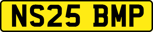 NS25BMP
