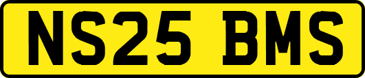 NS25BMS